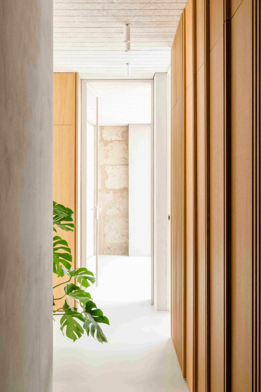 Photo credit: Anna Positano