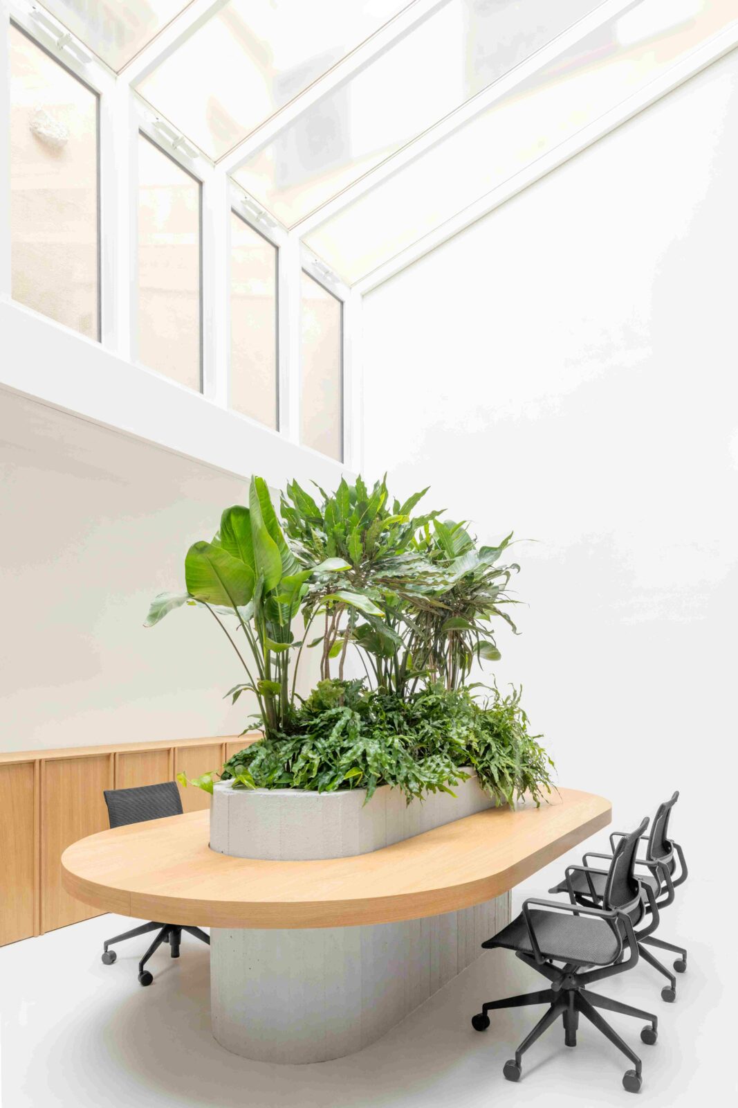 Photo credit: Anna Positano