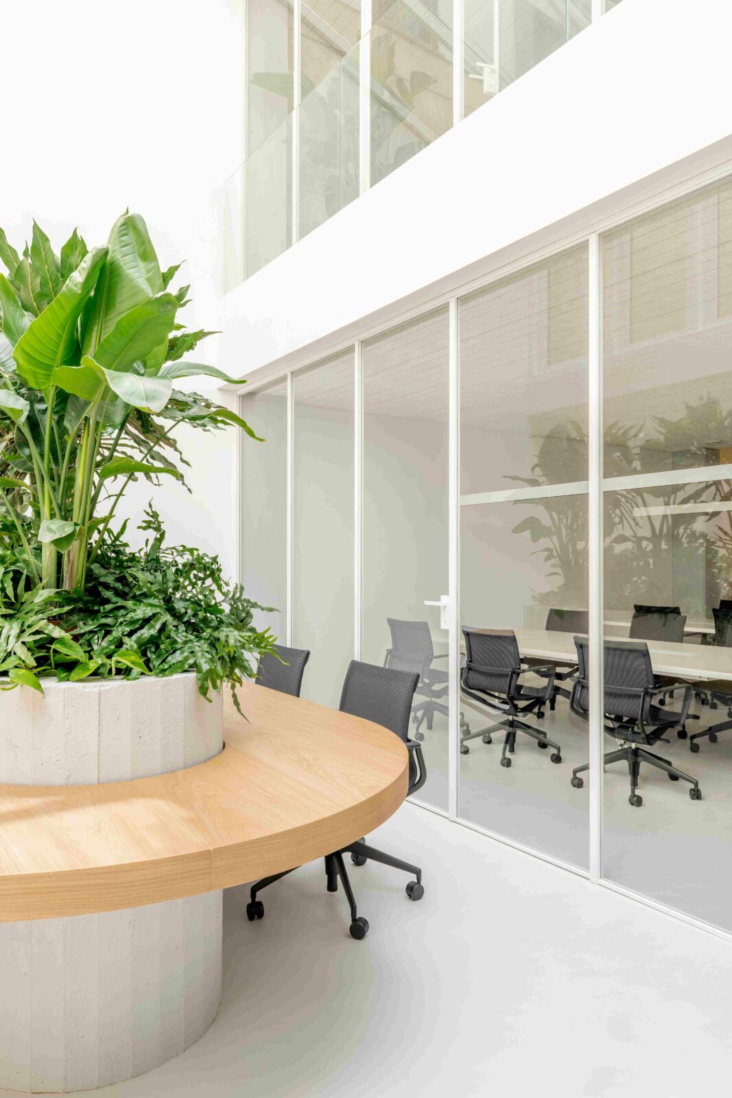 Photo credit: Anna Positano