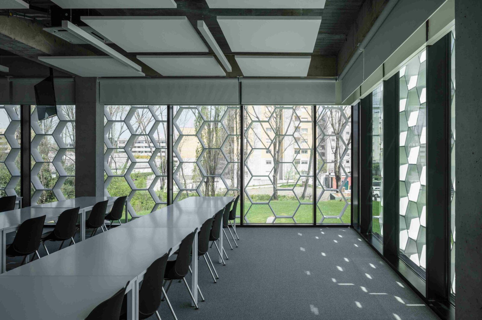 Photo credit: Pedro Cardigo