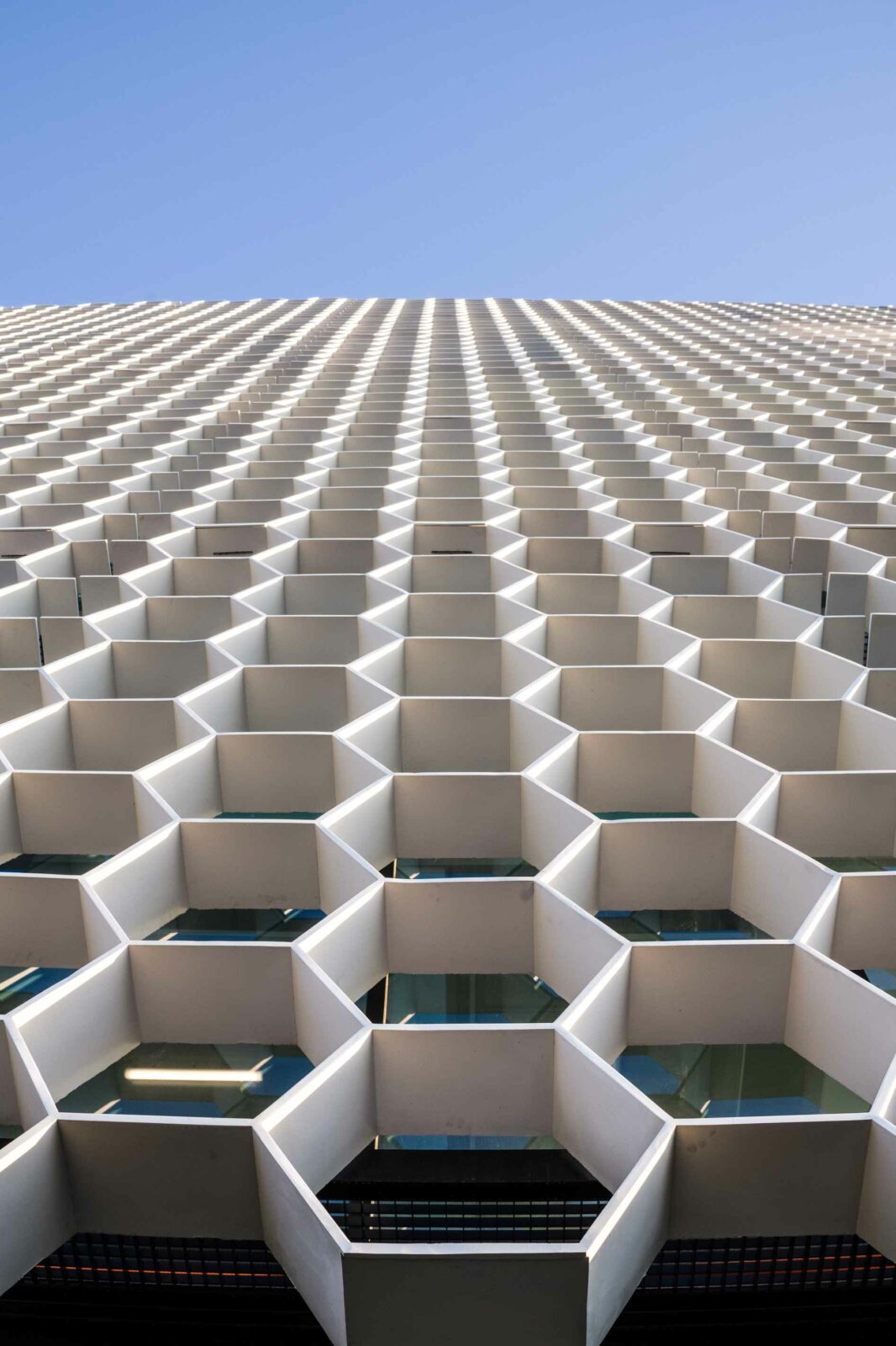 Photo credit: Pedro Cardigo