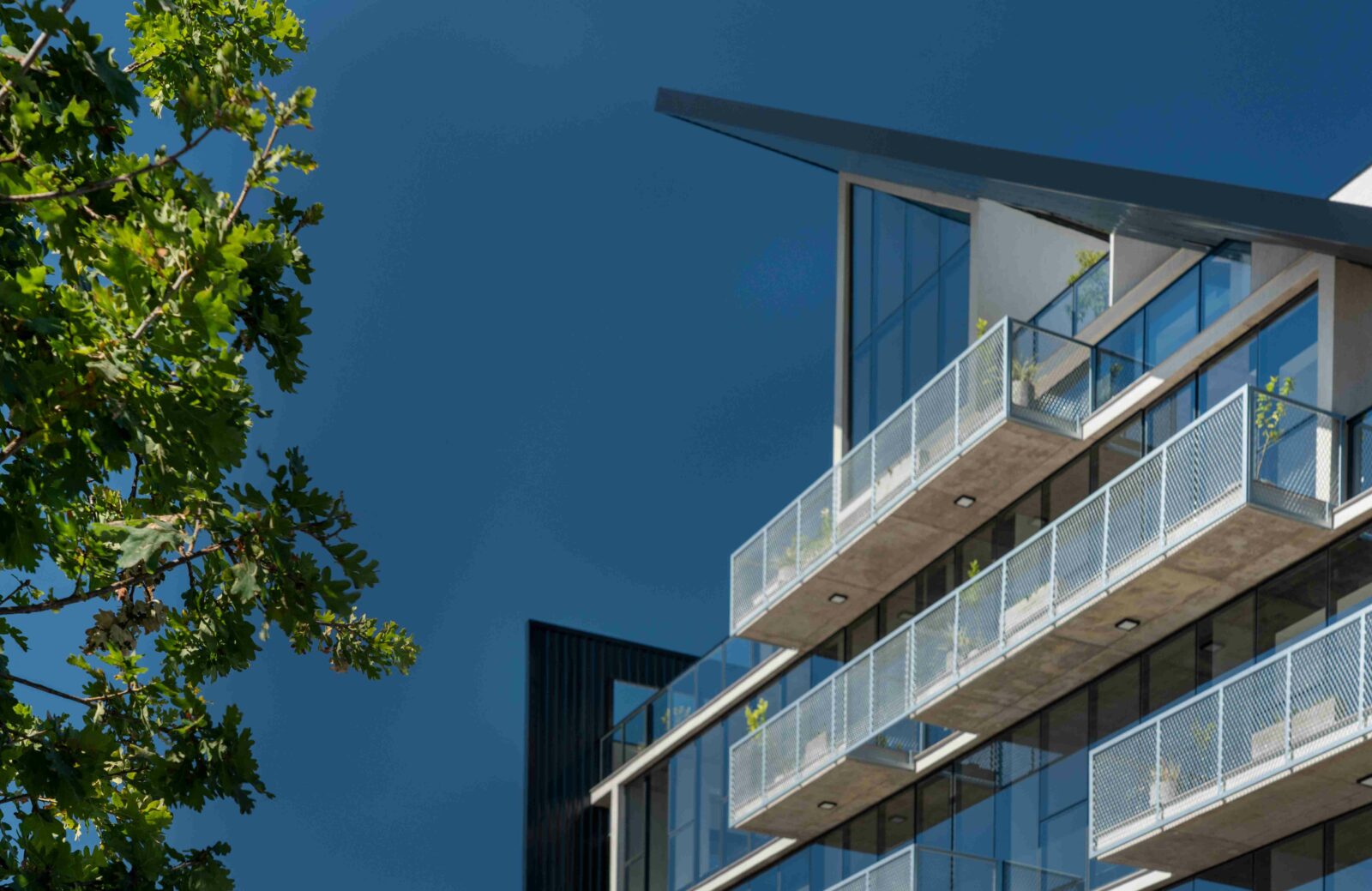 Photo credit: Roberta Gewehr