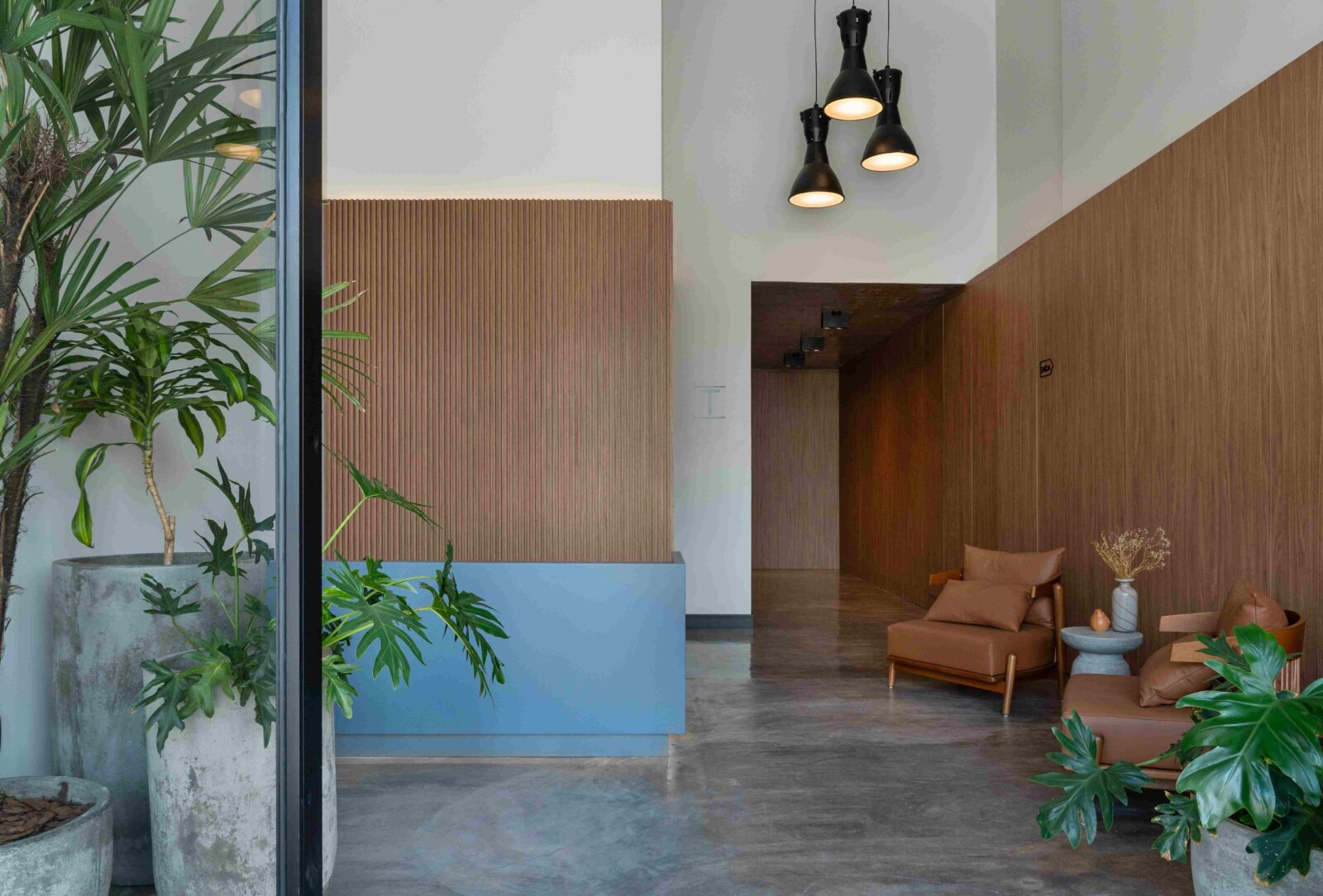 Photo credit: Roberta Gewehr