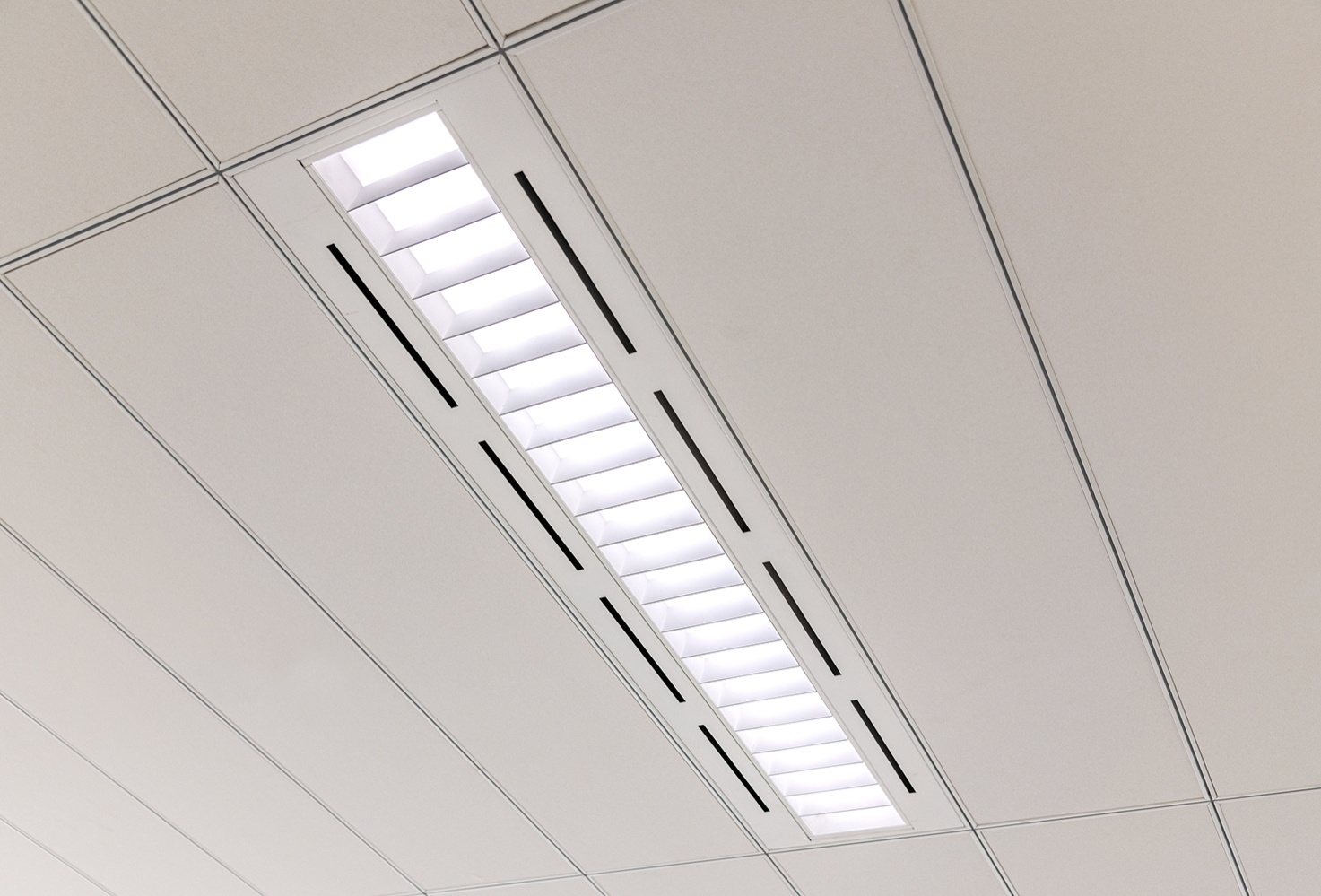 Photo credit: Ambridge Photography