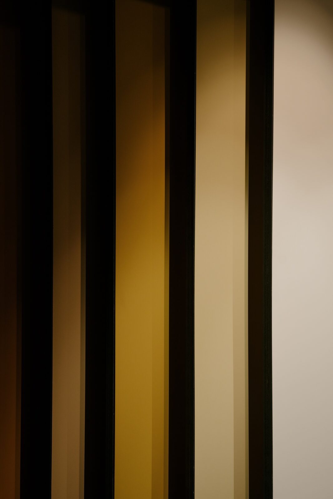 Photo credit: Longfei Wang