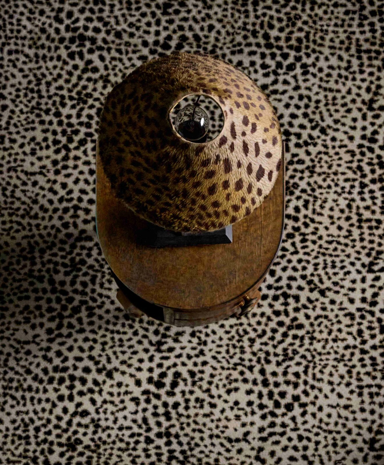 Photo credit: Ashish Sahi