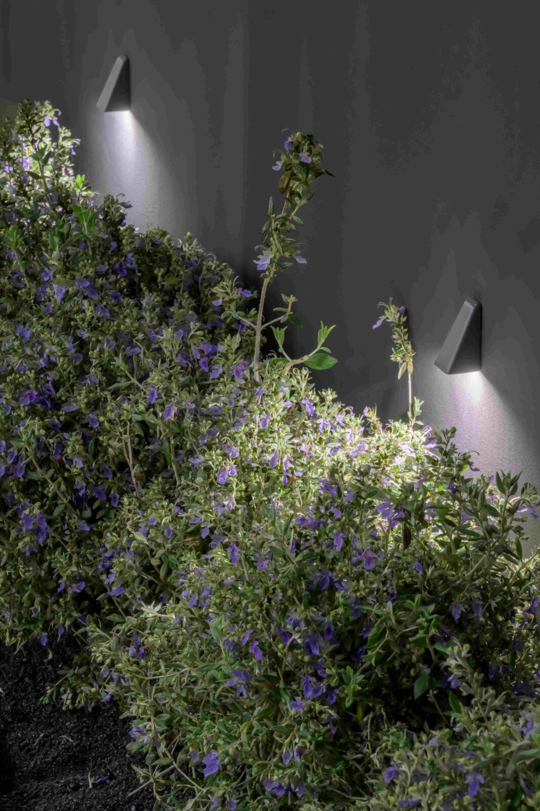 Photo credit: Courtesy of Platek