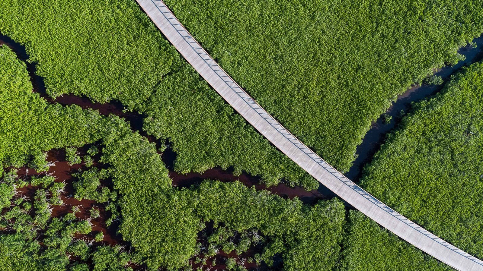 The St. Regis Kanai Resort