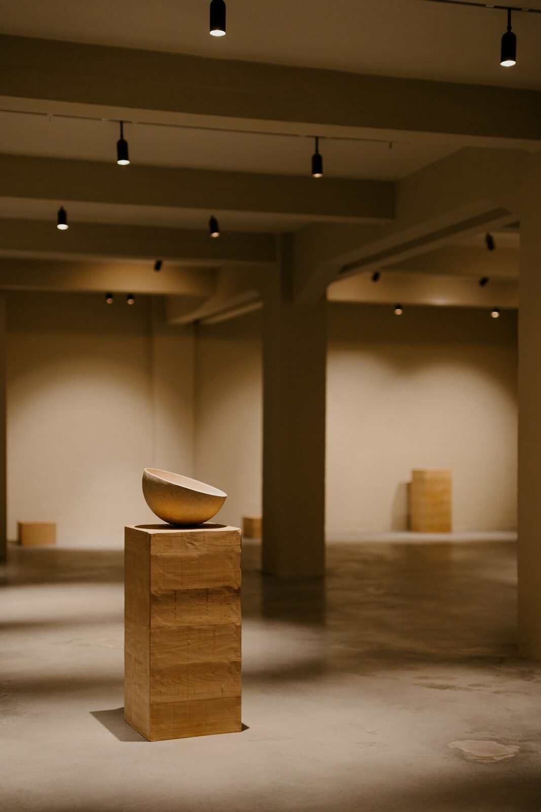 Photo credit: Longfei Wang