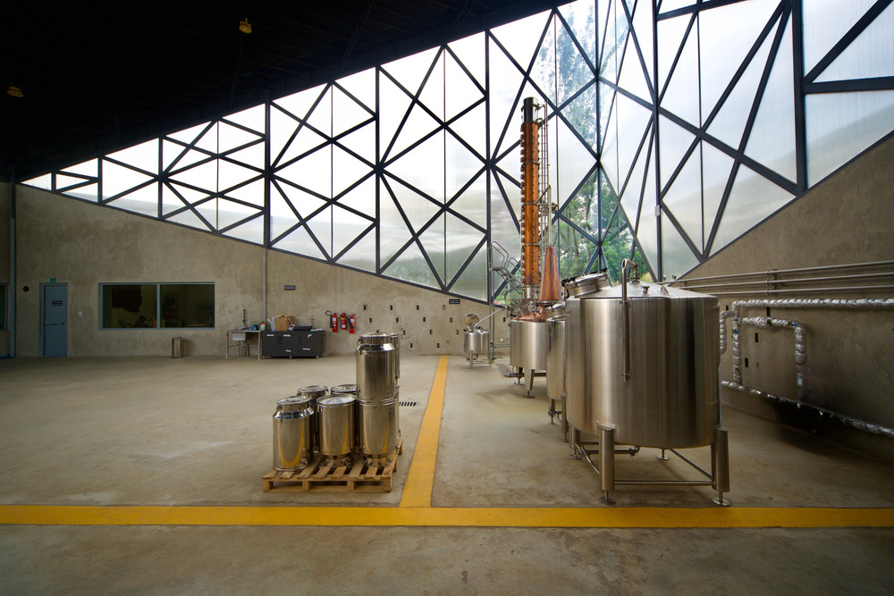 Virunga Mountain Spirits