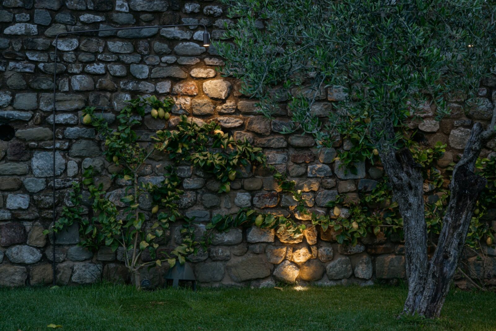 Terraces of Light Transform the Medieval Gardens of La Monastica