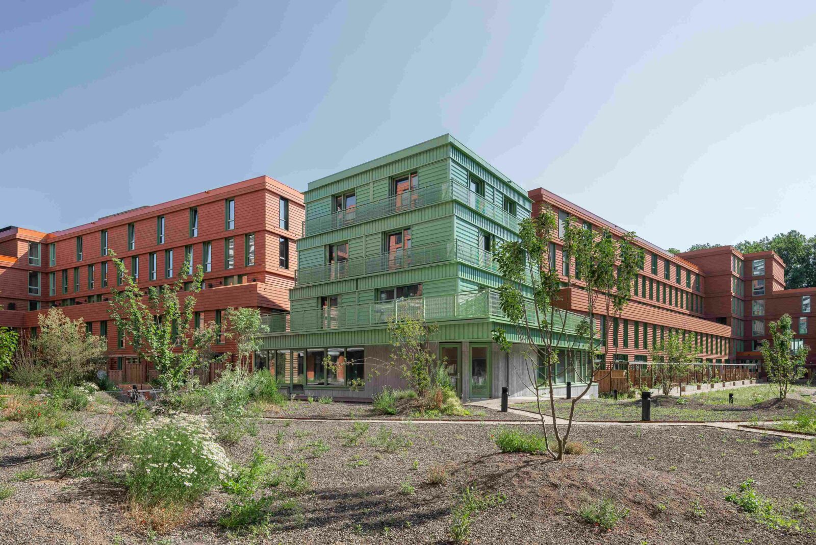 Photo credit: Loes van Duijvendijk