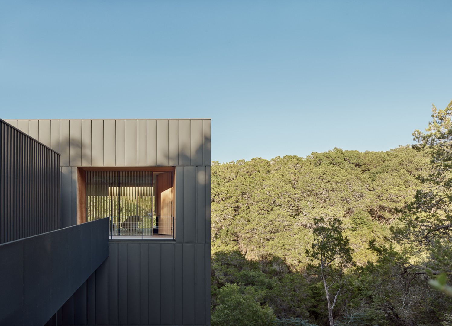 This Austin Home Climbs Above the Trees for a Life Without Curtains