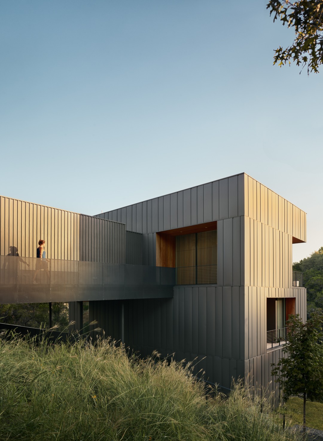 This Austin Home Climbs Above the Trees for a Life Without Curtains