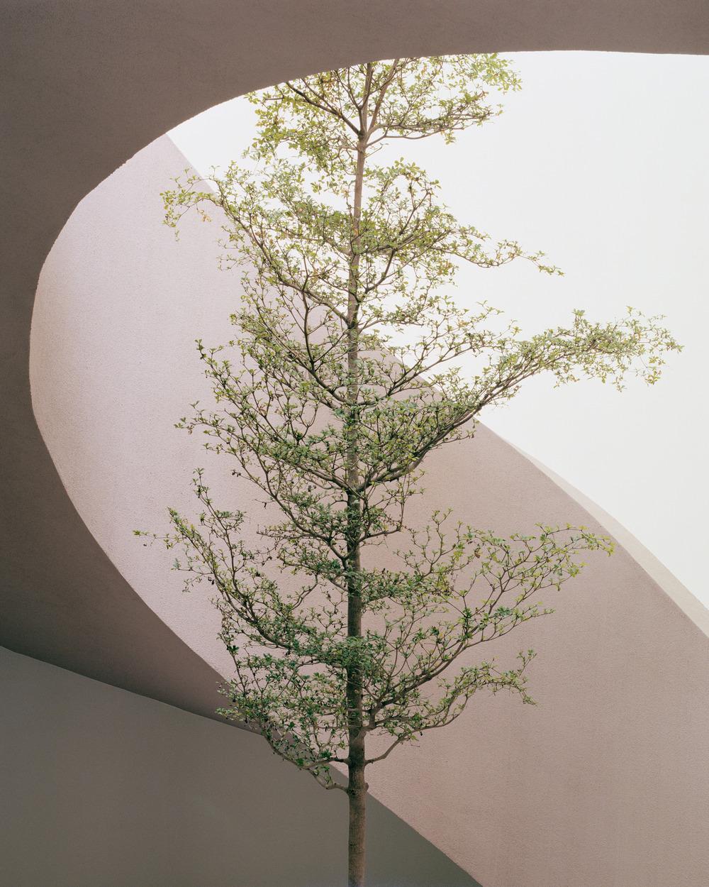 Gyöngyszem Kindergarten, Archikon Architects