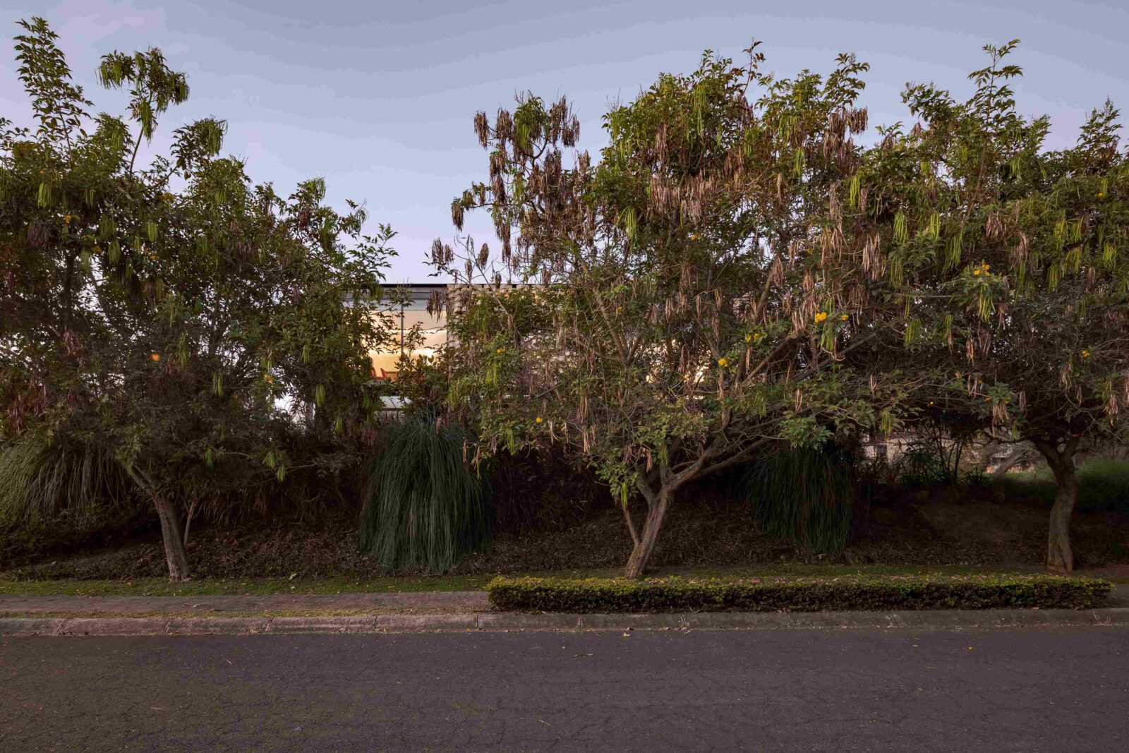 Photo credit: Bicubik