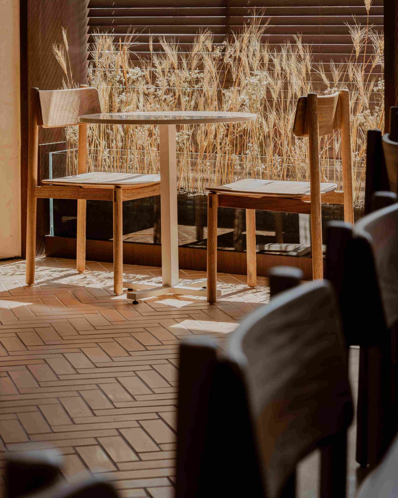 Photo credit: Mauricio Carvajal