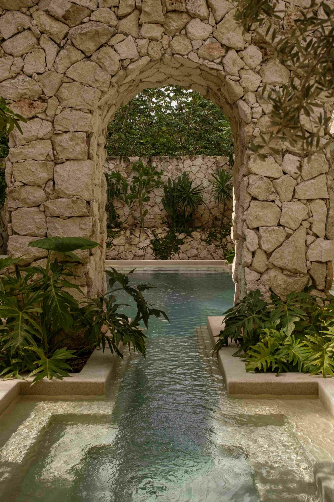 Photo credit: Ariadna Polo