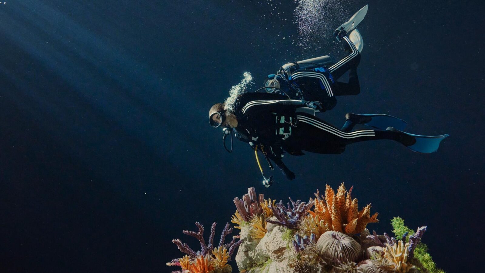 Photo credit: Courtesy of Adidas