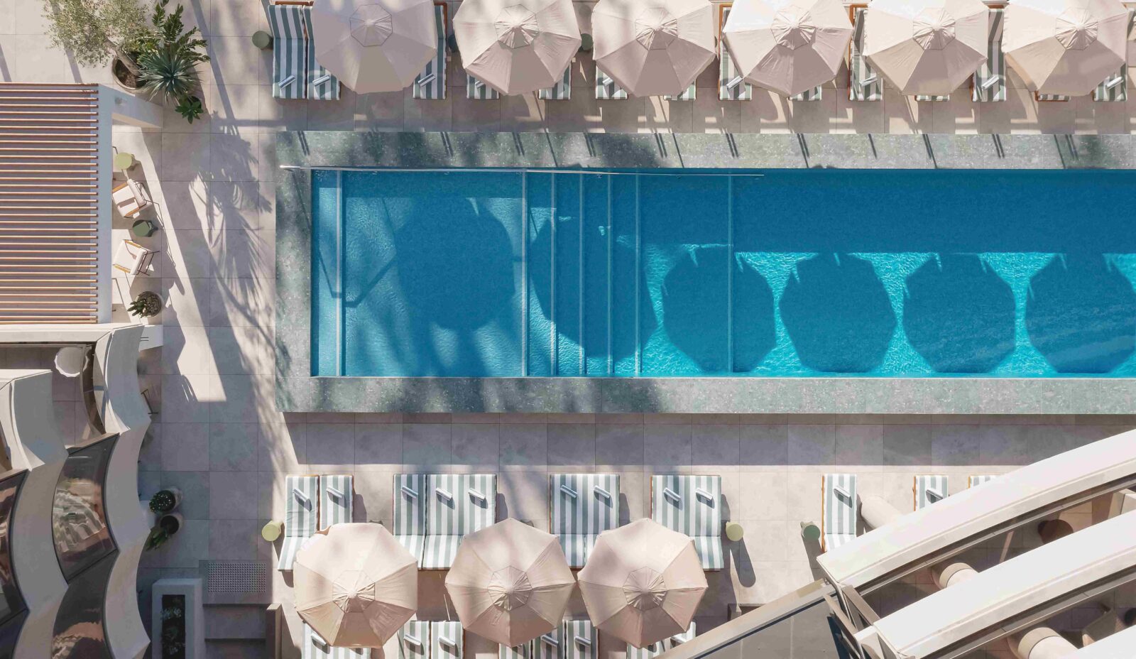 Photo credit: Justin Nicholas