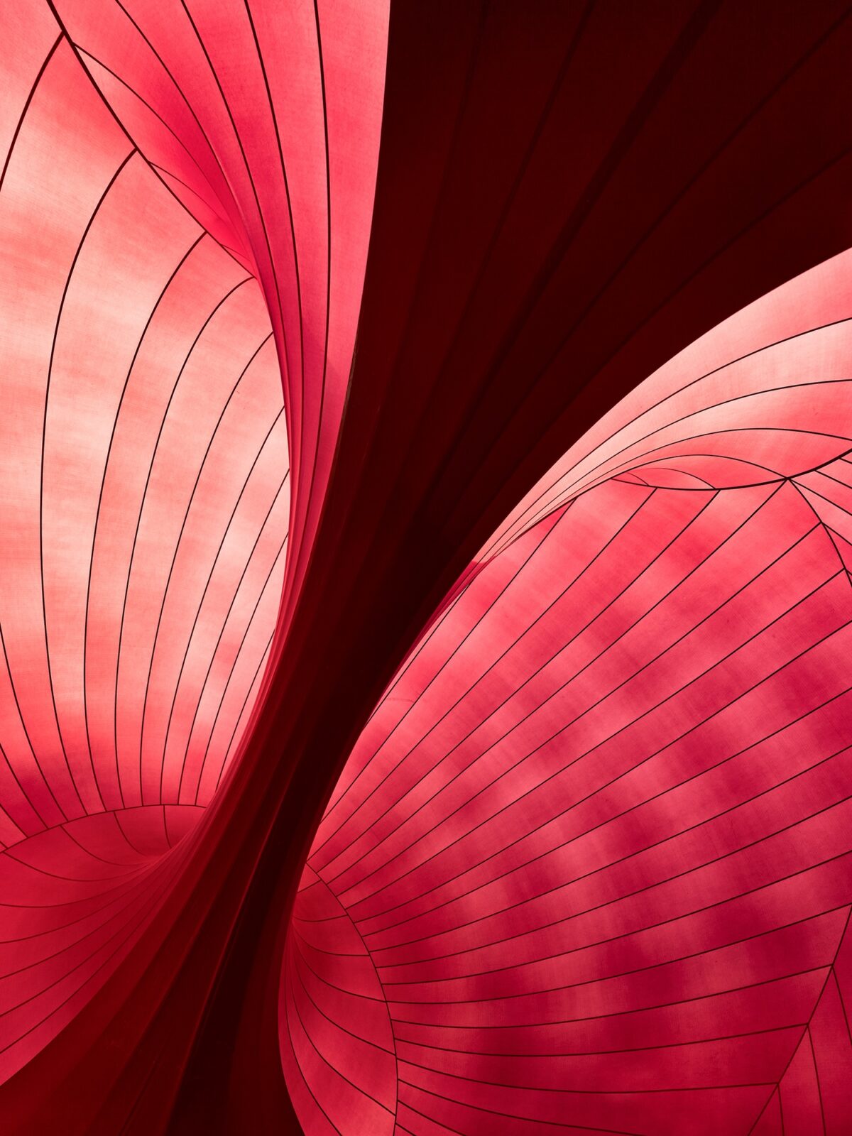 Inflatable Ark Nova in Lucerne Combined Arata Isozaki’s Architecture with Anish Kapoor’s Sculpture