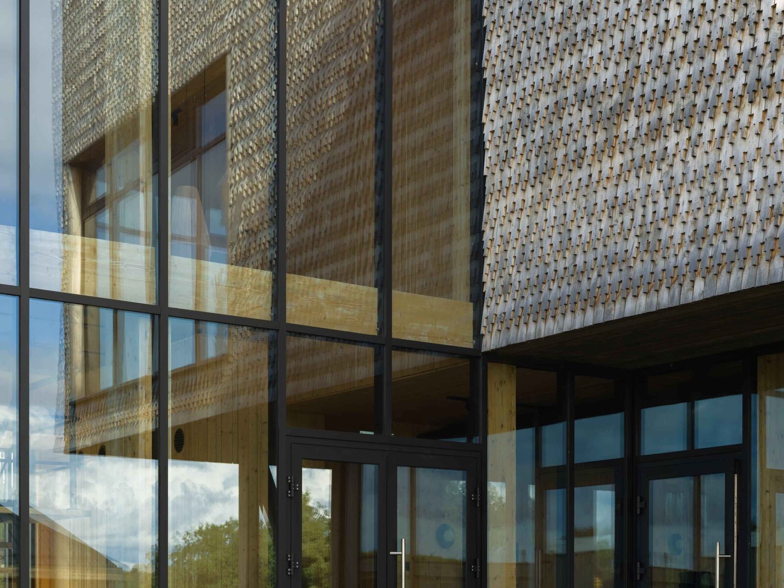 Photo credit: Dmitry Chebanenko