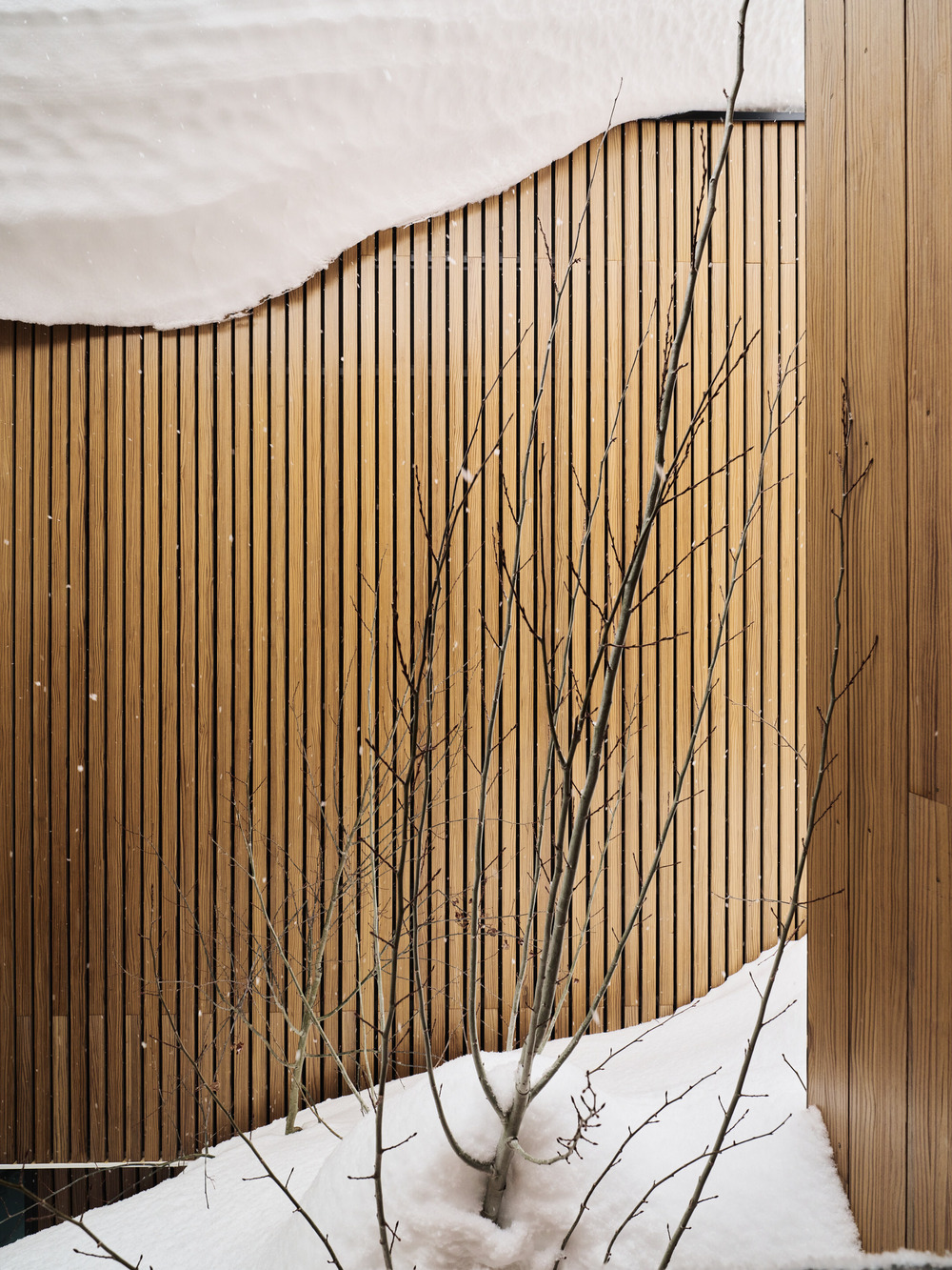 Nest Residence by Sparano + Mooney Architecture