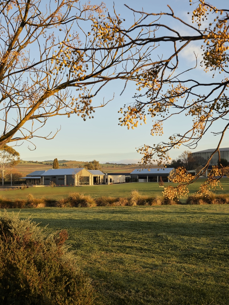 Taylors Wines Cellar Door