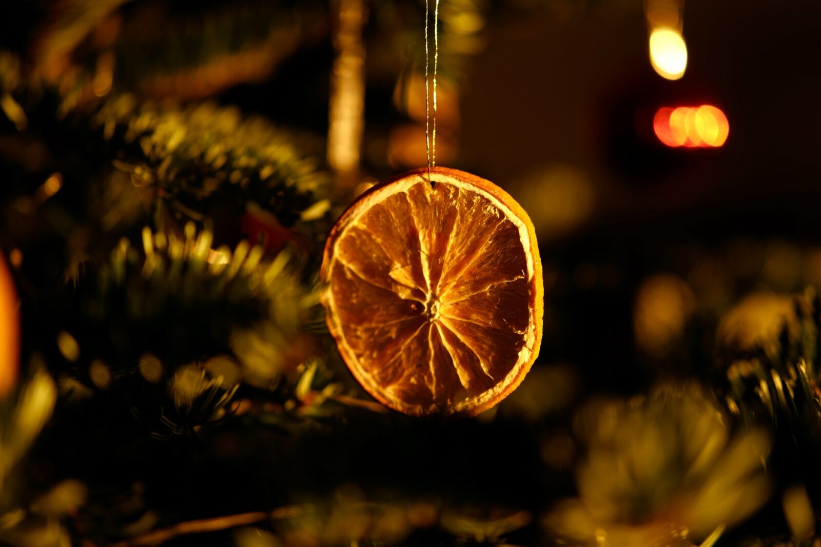 orange slice on Christmass three