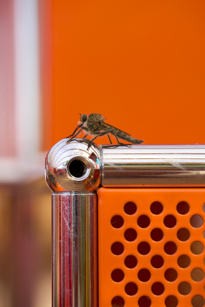 unEarthed / Second Nature / PolliNATION at Venice Biennale