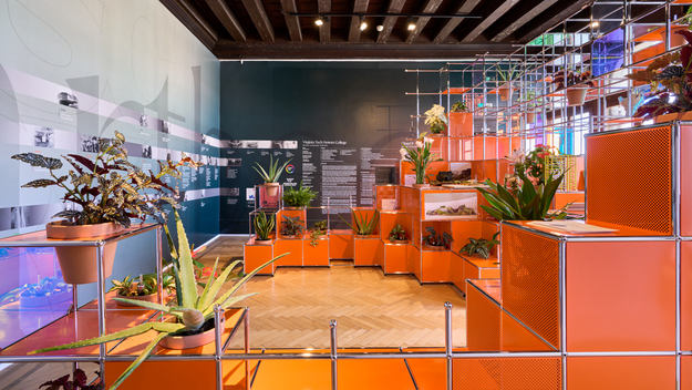 unEarthed / Second Nature / PolliNATION at Venice Biennale