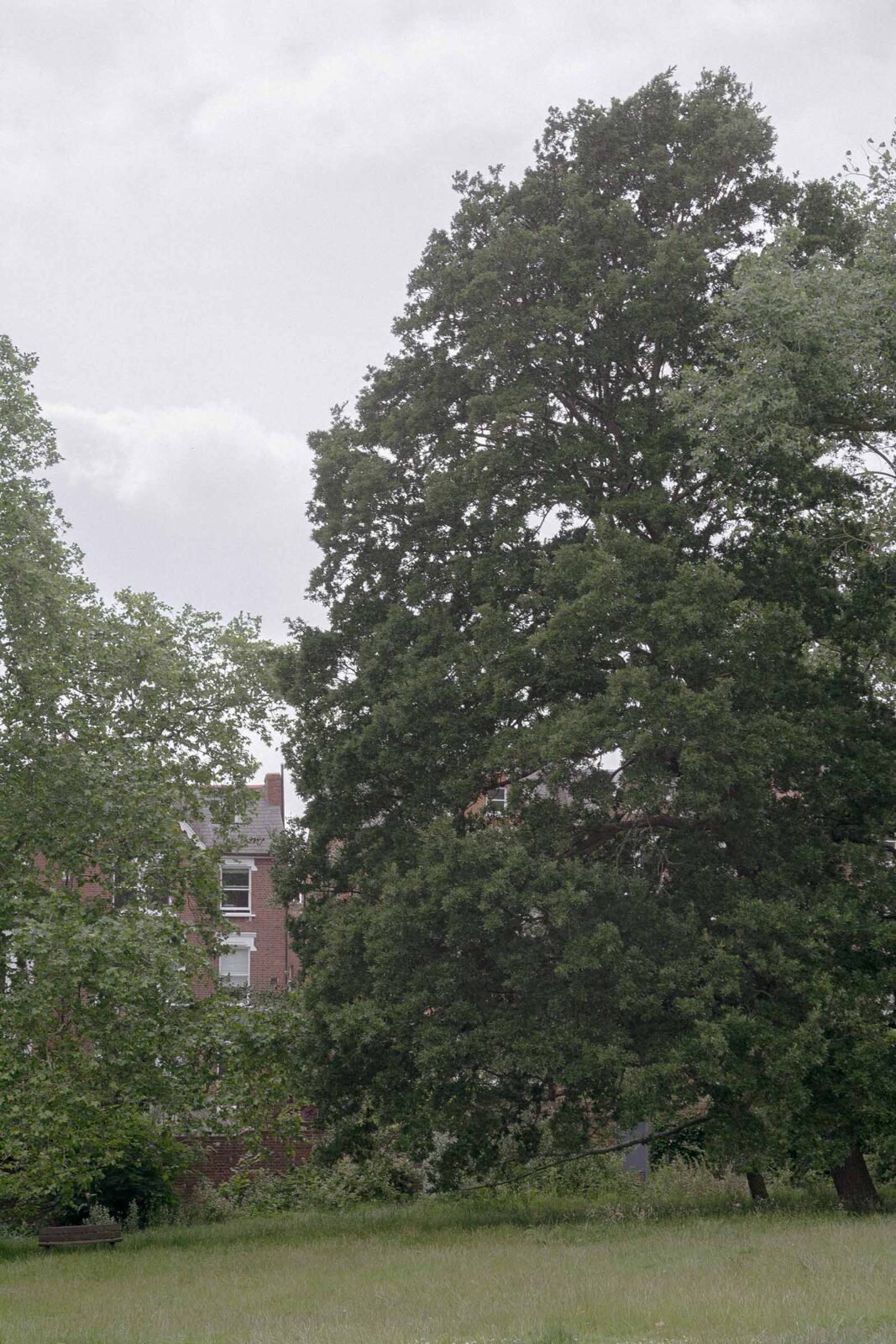 Hampstead Extension: Reframing a Victorian Home on Tanza Road