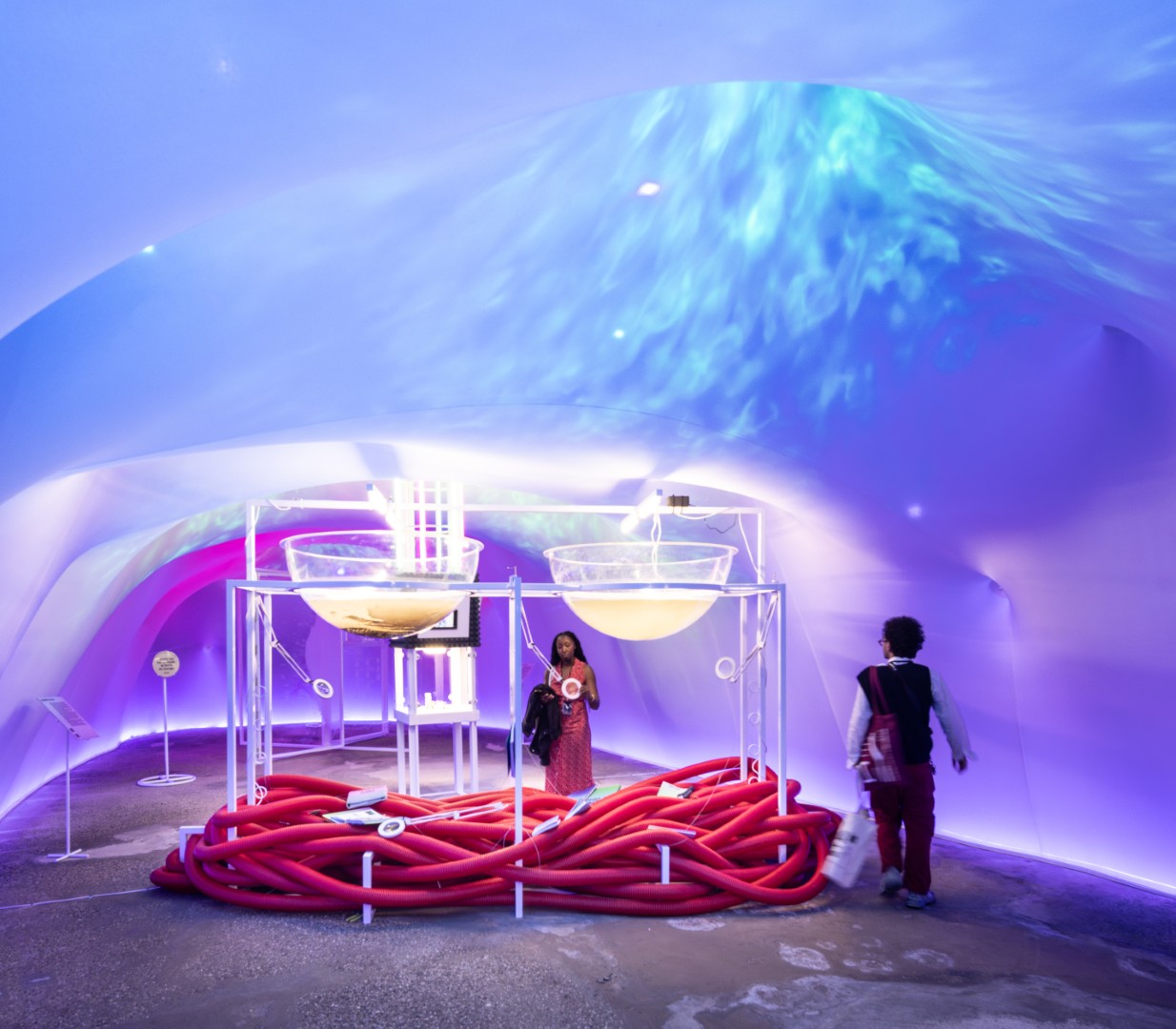 Catalonia in Venice_Water Parliaments: Projective Ecosocial Architectures. Eva Franch i Gilabert, Mireia Luzárraga & Alejandro Muiño. Credit: José Hevia