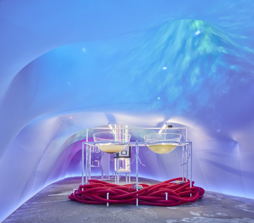 Water Parliaments — Photo by José Hevia