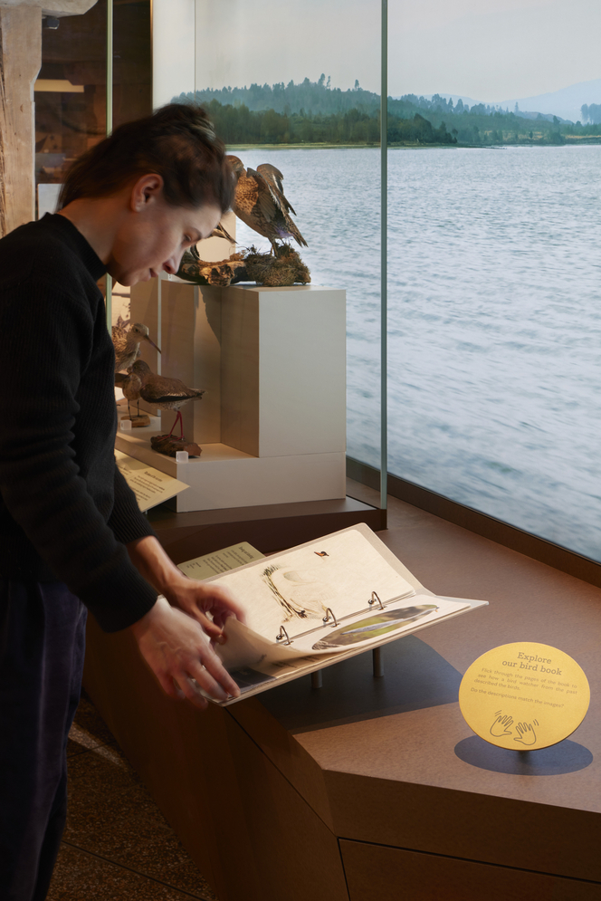 Poole Museum by ZMMA