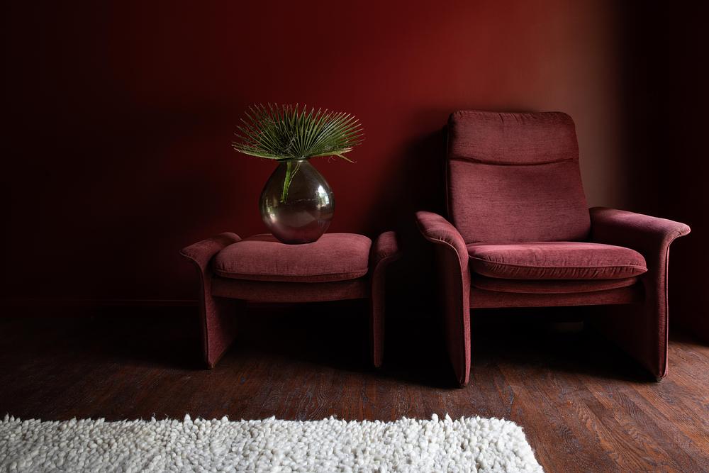 Tonester Paints Transforms Zappa Nest