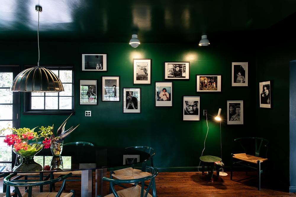 Tonester Paints Transforms Zappa Nest