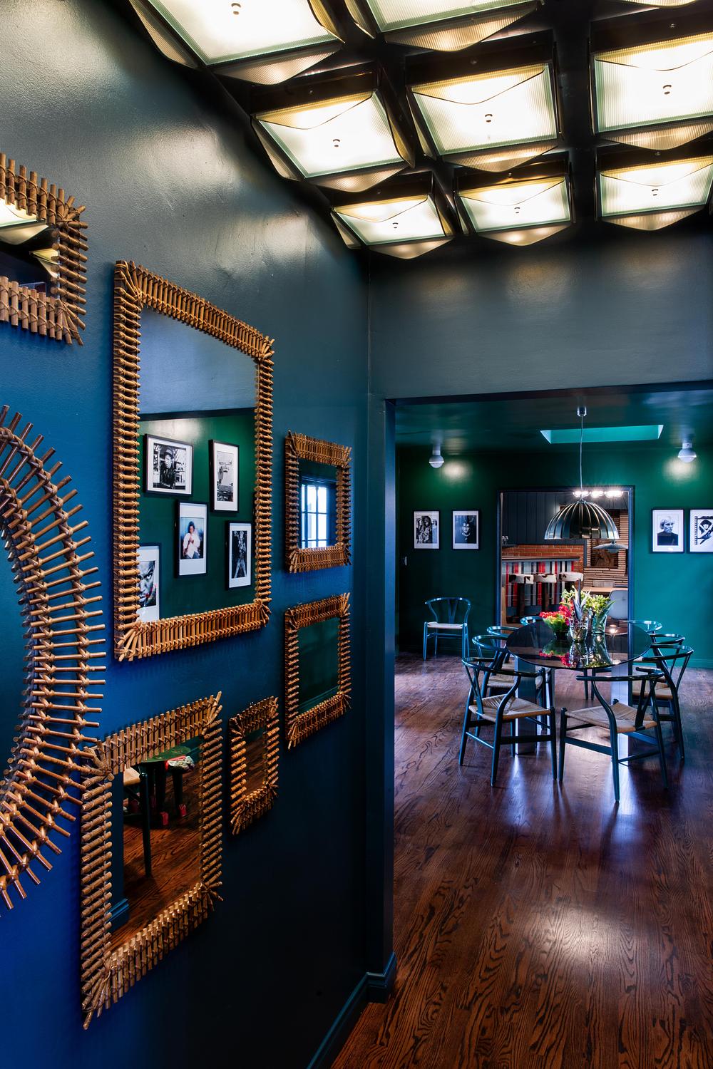 Tonester Paints Transforms Zappa Nest