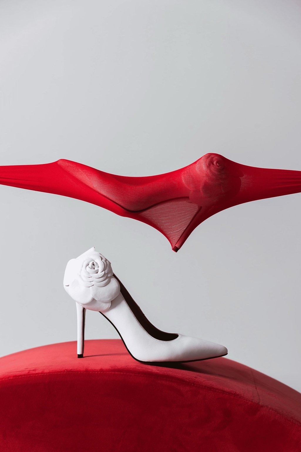 Photo credit: Nazarii Gnypiuk