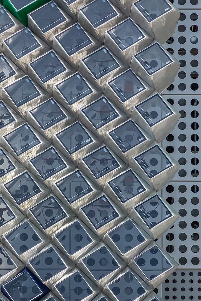 VINE. Photo by yoon_joonhwan.