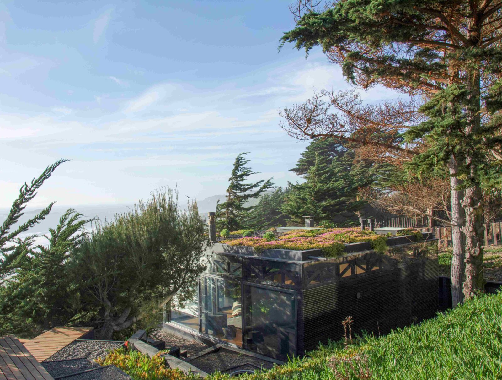 Photo credit: Marcos Zegers