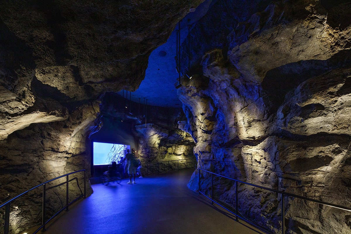 Houston Zoo - Galapagos Exhibit