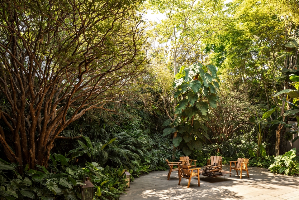 Ibsen House by Rodrigo Oliveira Paisagismo