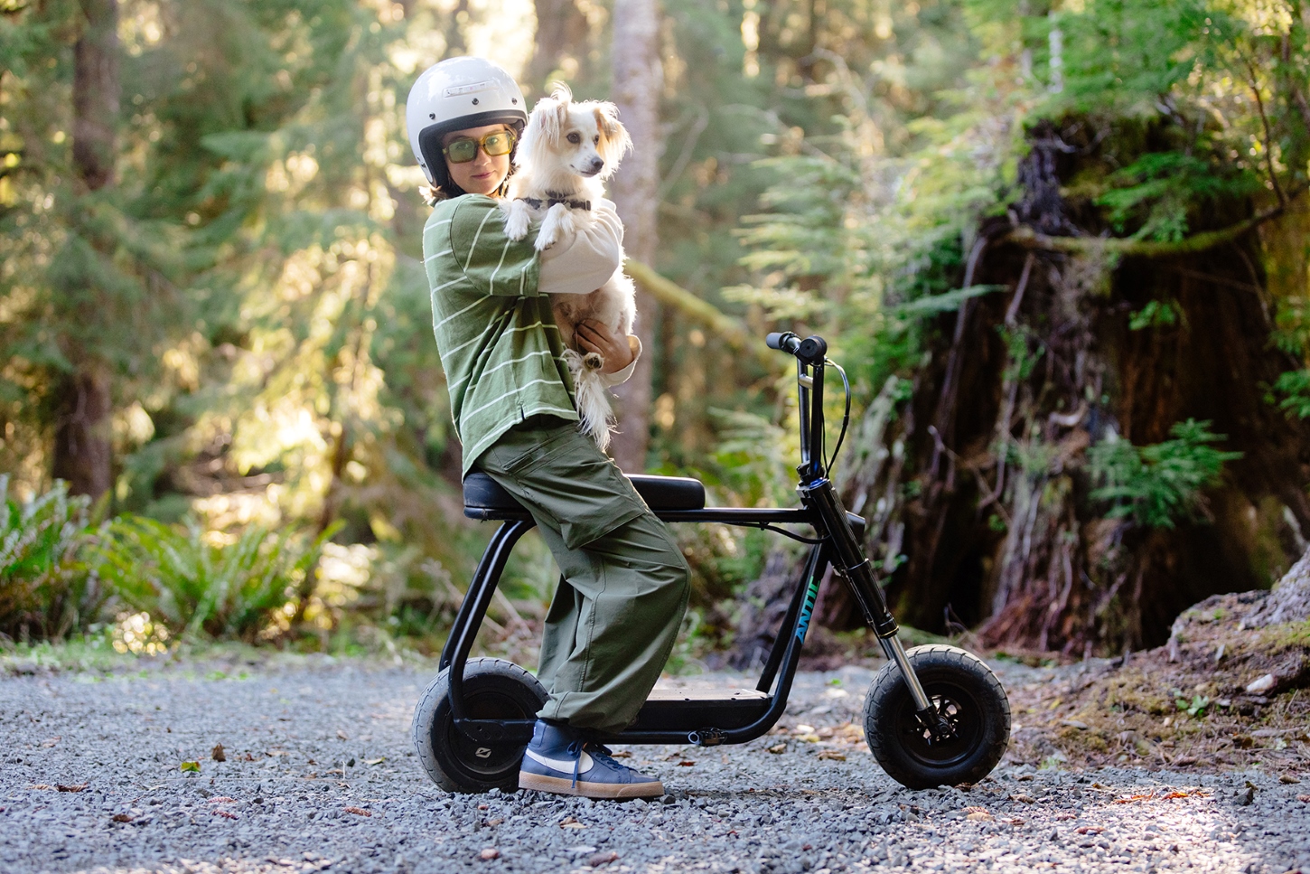 Antic is created for kids and adults