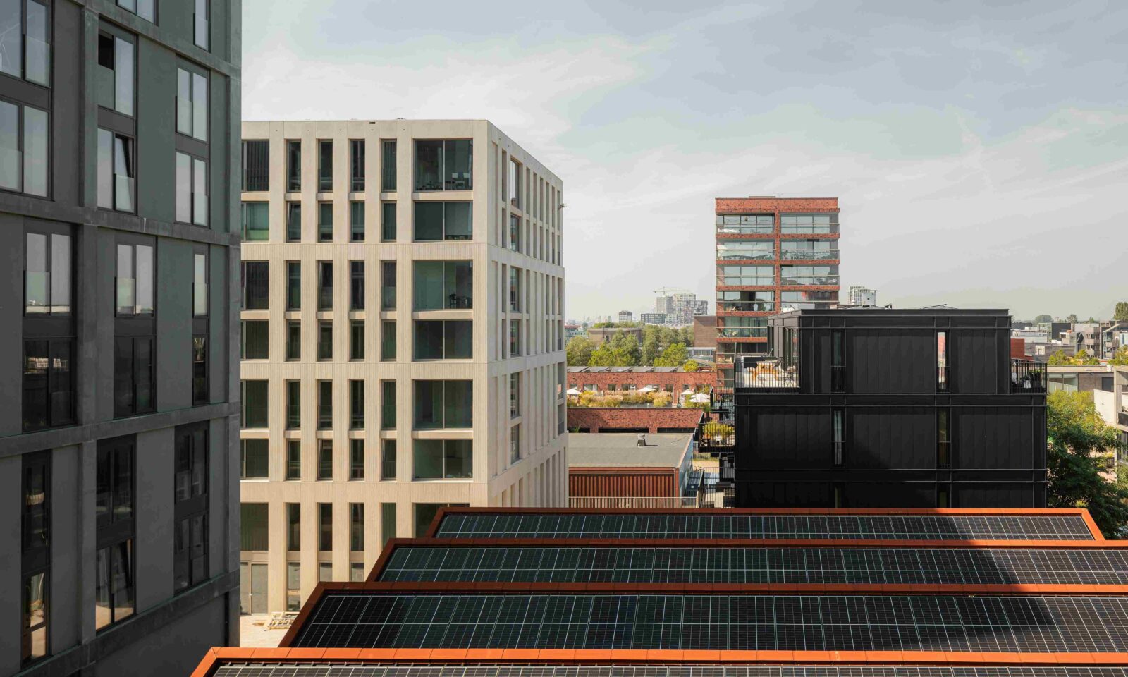 Photo credit: Sebastian van Damme