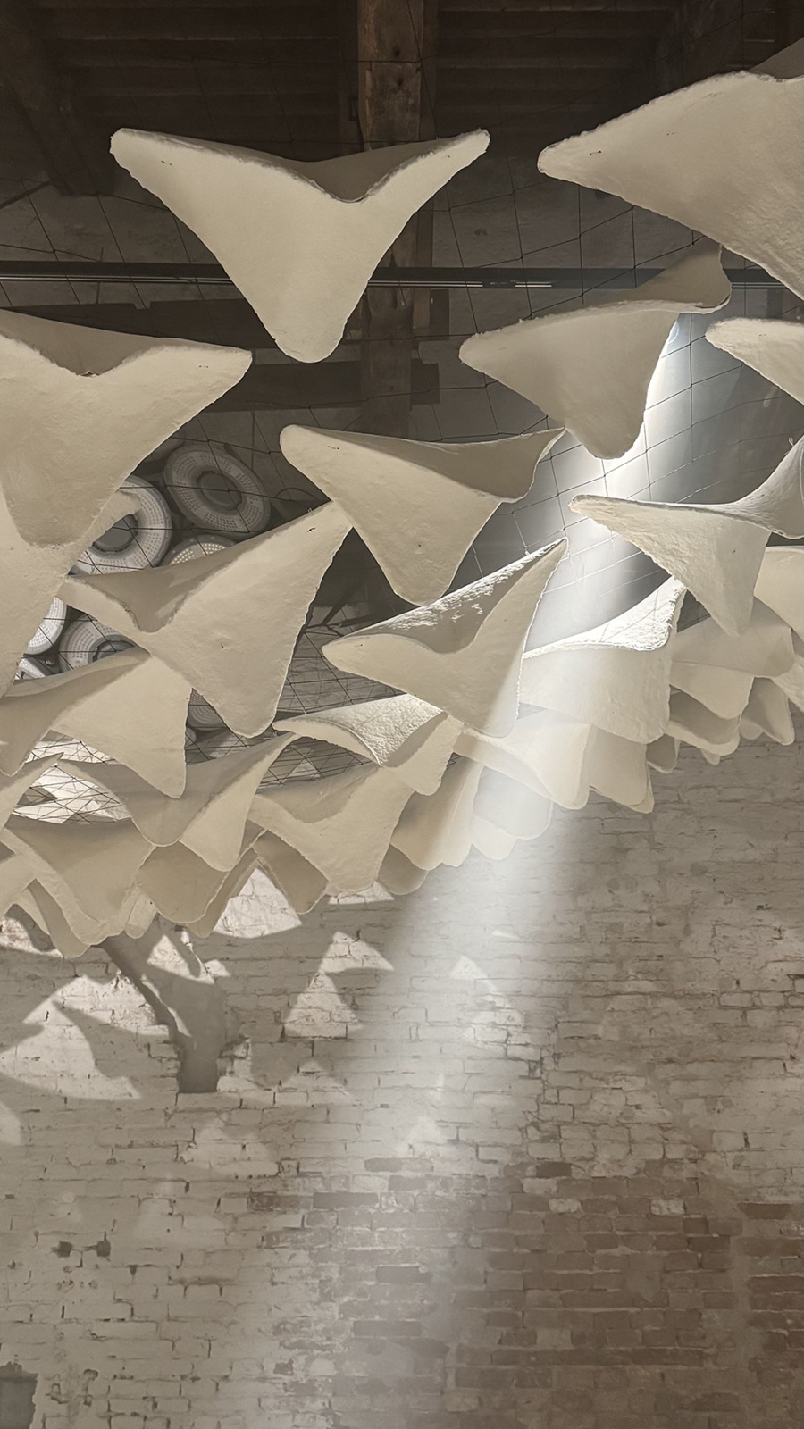 Flight into Shadow. Photo Credits: Jacopo La Forgia.