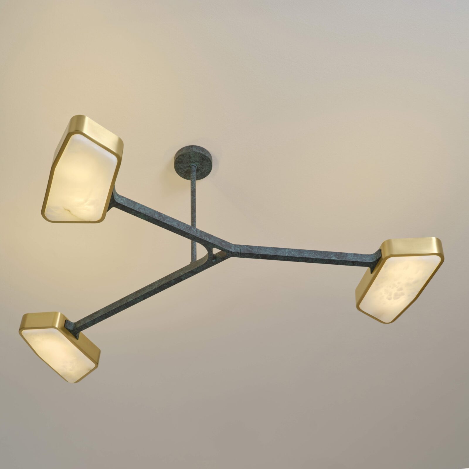 Orchid Collection by Gaspare Asaro