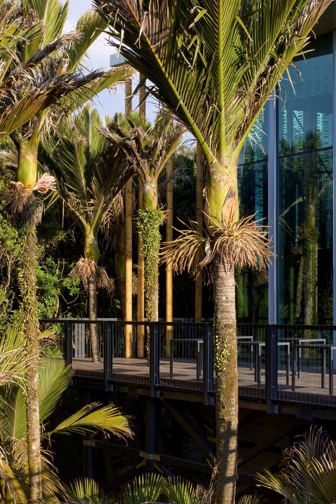 Punangairi Visitor Centre on New Zealand’s West Coast