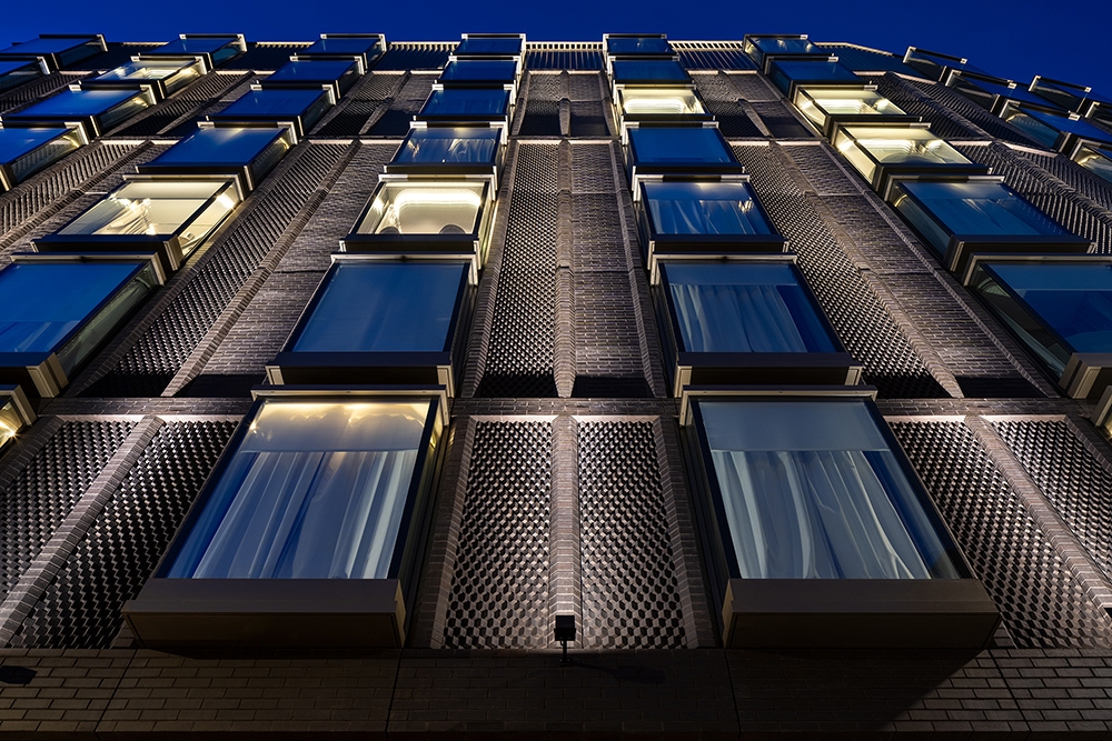 The BoTree featured image