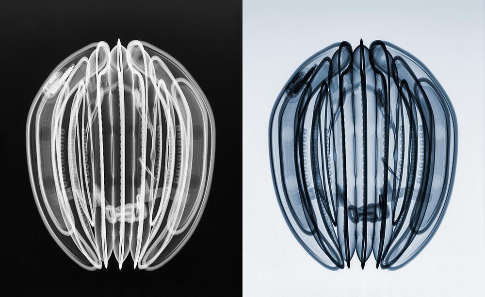 Connected air chambers.